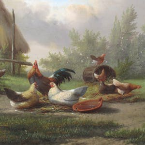 Johan Lodewijk Van Leemputten - Hoenders op Erf kopen? Bied vanaf 350!