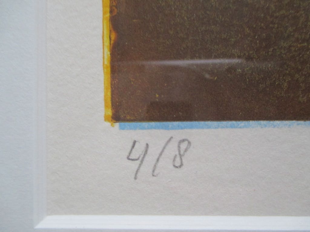 Margot de Jager - grote ingelijste aluminiumprint "Laagland" Barth-lijst kopen? Bied vanaf 55!