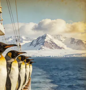 Mr Strange - Antarctica kopen? Bied vanaf 80!