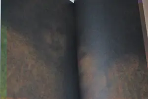 Matthijs Maris - 3 boekwerken waarvan 1x monumentaal (ontwerp Irma Boom studio) kopen? Bied vanaf 50!