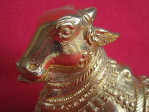 Brons (Onbekend) - Nandi heilige stier kopen? Bied vanaf 40!