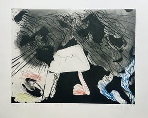 Ger Lataster - grote kleurenets uit 1989 - oplage X kopen? Bied vanaf 95!