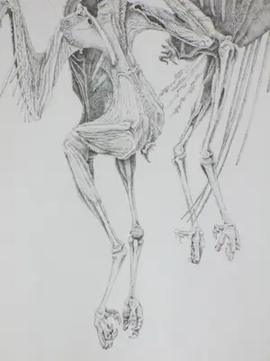 Gerard van Rooy - Danse Macabre III - Ets kopen? Bied vanaf 50!