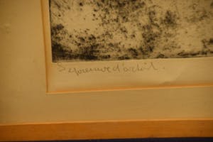 Annetje van Verseveld - Corpus - Ets op papier - BKR Amsterdam kopen? Bied vanaf 20!
