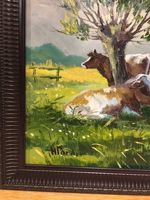 Henk Poeder - Koeien kopen? Bied vanaf 89!