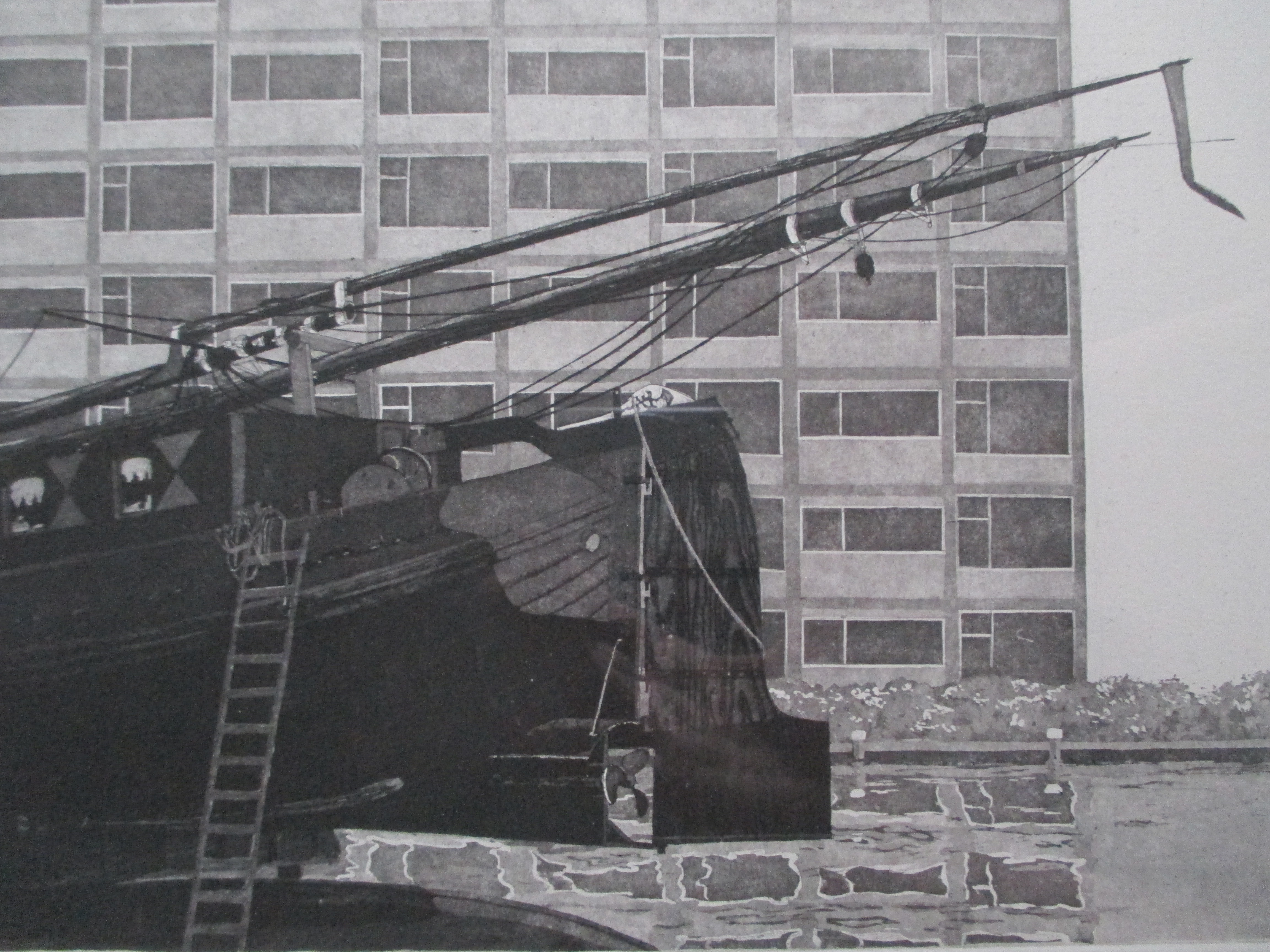 Domien van Baalen (1952)