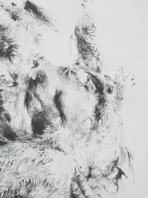 Jan Mensinga - Man met vier vogels - Litho kopen? Bied vanaf 1!