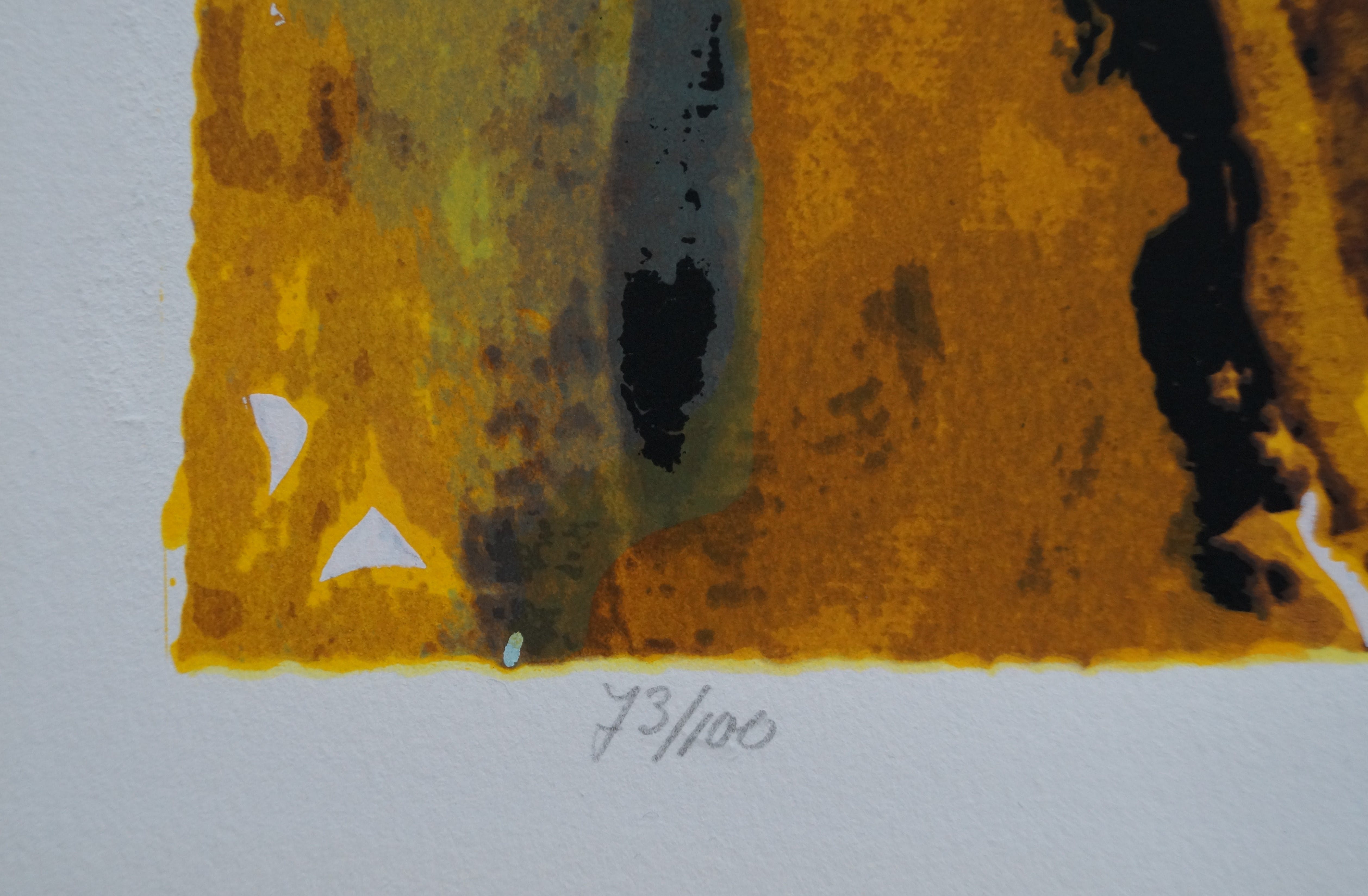 Willem van Scheijndel - Stories about the baobab - grote zeefdruk kopen? Bied vanaf 80!