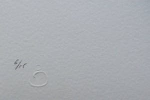 Chris de Bueger - Zeefdruk: gelijktijdig 3 kopen? Bied vanaf 35!