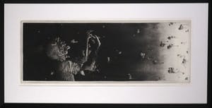 Tobias Crone - Ets, Zakje met Vlees - Ingelijst (Zeer Groot) kopen? Bied vanaf 35!