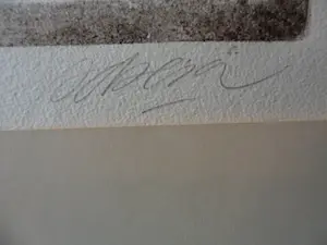 Enric Adsera Riba - Diepdruk/aquatint. Titel, van leer Holland. kopen? Bied vanaf 20!