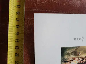 Rob Scholte - Apres nous le deluge kopen? Bied vanaf 70!