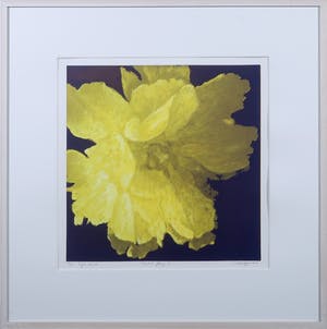 Hans Dolieslager - Zeefdruk, Dutch Glory I - Ingelijst kopen? Bied vanaf 40!