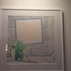 Roger Raveel - Kom in het bos wonen kopen? Bied vanaf 1445!