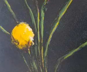 Anke Peddemors - Gele bollen kopen? Bied vanaf 75!