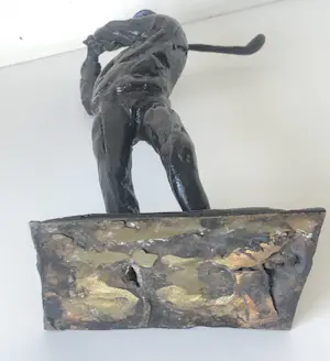 Karel Gomes - Golfer kopen? Bied vanaf 425!