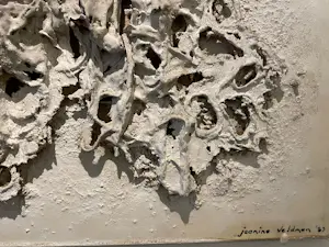 Jeanine Veldman - 1935-2010 kopen? Bied vanaf 150!