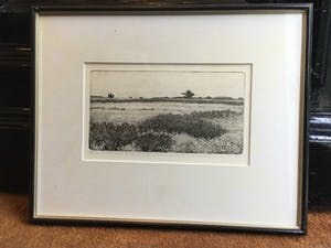 Paulien Wittenrood - C1248-8 - Heide in de zomer kopen? Bied vanaf 10!