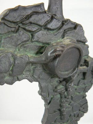 Eric Claus - Afrika kopen? Bied vanaf 235!