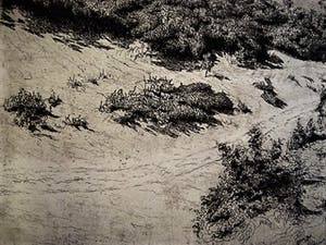 Niet of onleesbaar gesigneerd - Circa 1930 - grote droge naald Ets "Duinlandschap" gesigneerd kopen? Bied vanaf 1!