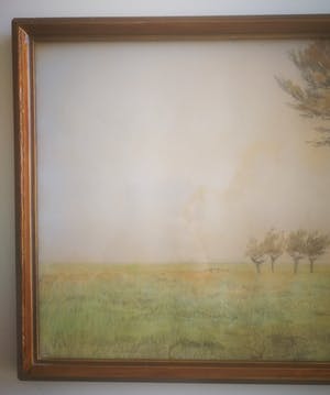 Jan Kagie (jr.) - Wilgen aan waterkant. kopen? Bied vanaf 1!