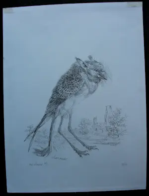 Peter Vos - Litho: Mus Plumatus - 1972 kopen? Bied vanaf 250!