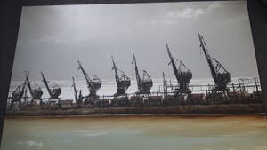 Patrick Bastardoz - Grues XV kopen? Bied vanaf 900!