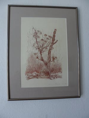 Kees de Ruijter - Ets, "Bloeiend tak" kopen? Bied vanaf 5!