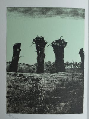 Nicolaas Wijnberg - Litho , Bomen – bijlage tijdschrift Petit No 2 - 1979 kopen? Bied vanaf 35!