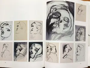 Hugo Claus - "BEELDEN" - 1988 - Cassette - Groot formaat - 40 x 30 cm - Uitstekende staat kopen? Bied vanaf 65!