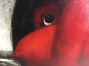 Aime van Belleghem - Verboden vrucht kopen? Bied vanaf 1499!