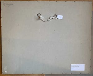 Frans Hollaardt - Boomgroep kopen? Bied vanaf 65!