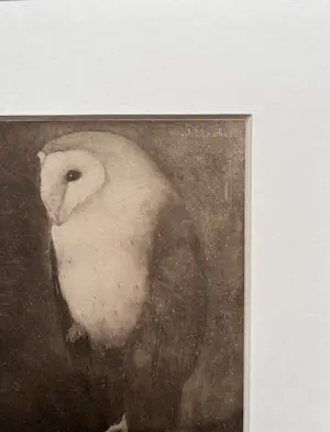 Jan Mankes - Originele Heliogravure Uil op Boomtak 1923 kopen? Bied vanaf 165!
