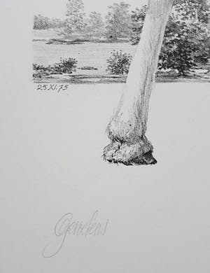 Peter Vos - Gevoelens, litho kopen? Bied vanaf 250!