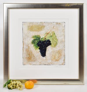 Starlie Sokol-Hohne - Druiventros kopen? Bied vanaf 1!