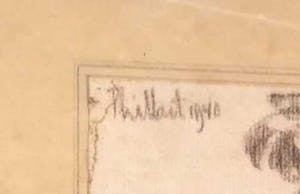 Jan van den Thillart - C3963 - Boerderij in een bos kopen? Bied vanaf 1!