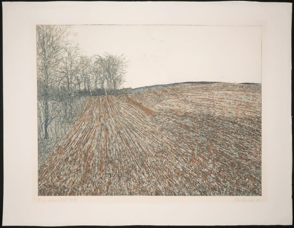 Peter Redeker - Peter Redeker: Ets, Landschaft 77 IV kopen? Bied vanaf 20!