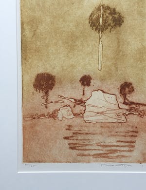 Jan Montyn - kleurenets II - 1996 - oplage 25 - ingelijst kopen? Bied vanaf 135!