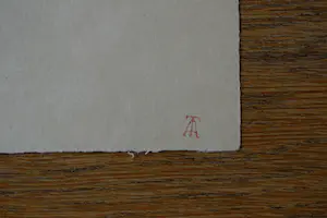 Dirk Baksteen - Ets - Zonnebloem kopen? Bied vanaf 100!