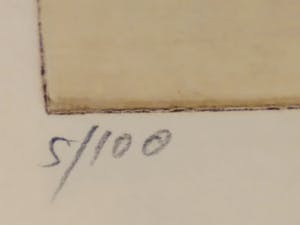 Claude Weisbuch - Steigerend paard kopen? Bied vanaf 75!