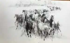Piet Klaasse - Paarden, proefdrukken offsetlitho, 2-zijdig bedrukt, gesigneerd in druk verkocht voor € 25!