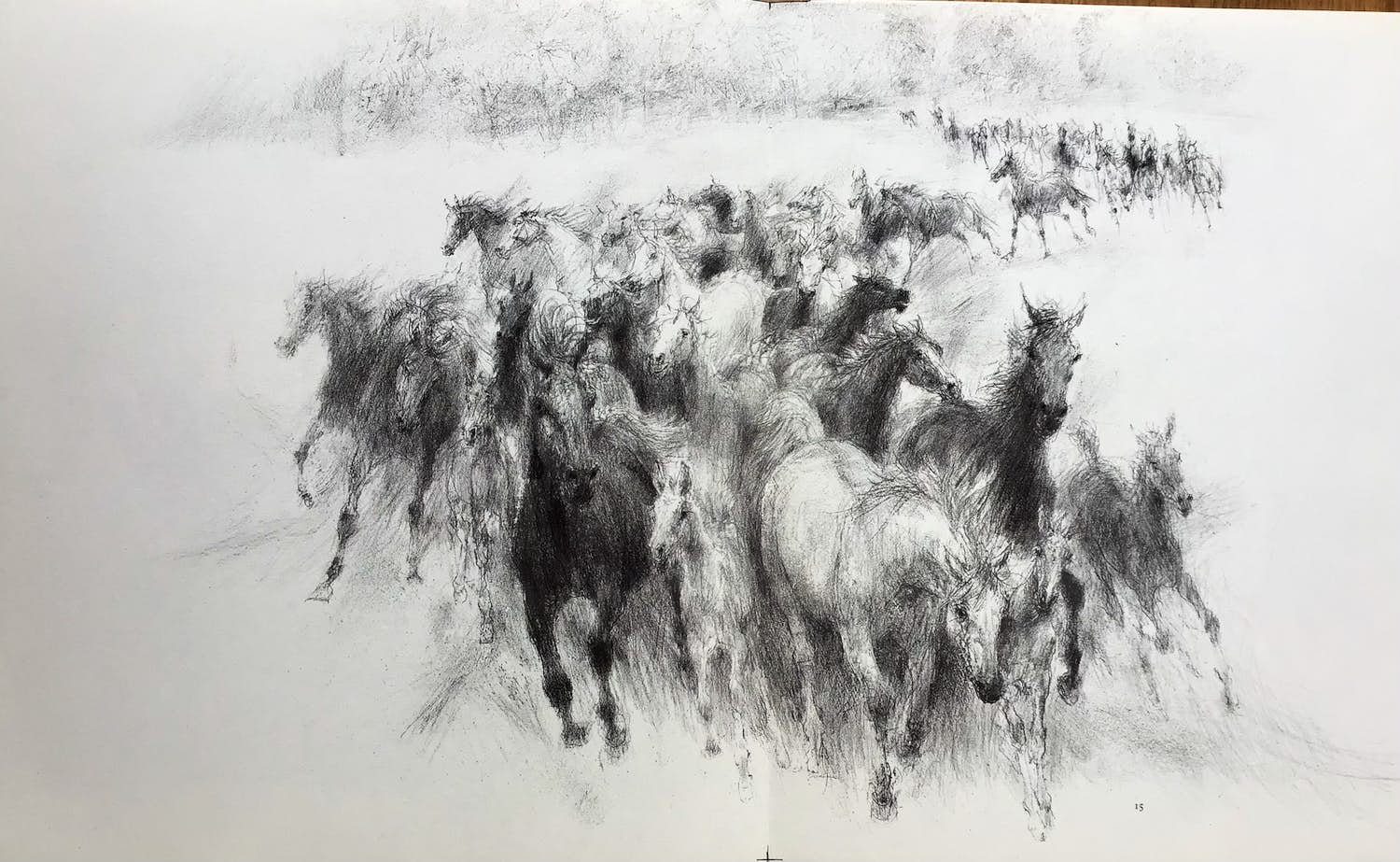 Piet Klaasse - Paarden, proefdrukken offsetlitho, 2-zijdig bedrukt, gesigneerd in druk kopen? Bied vanaf 25!