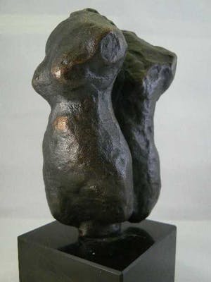 Brons (Onbekend) - Torso (Man & Vrouw) van Susanne den Hoed kopen? Bied vanaf 199!
