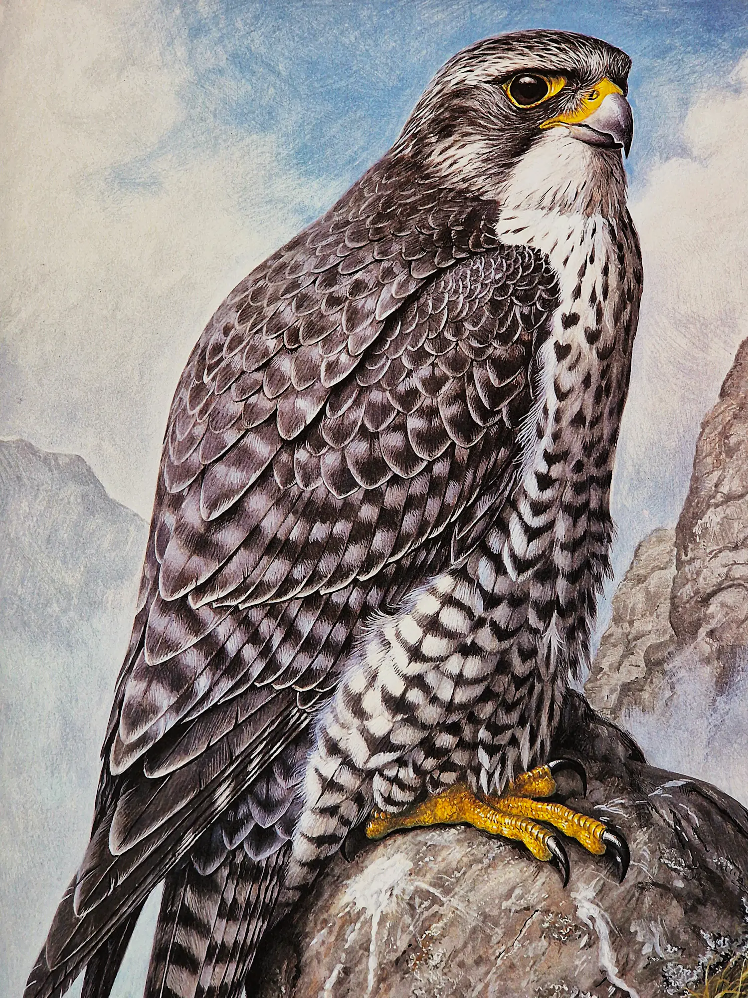 Hendrik Johannes Slijper (1922-2007)