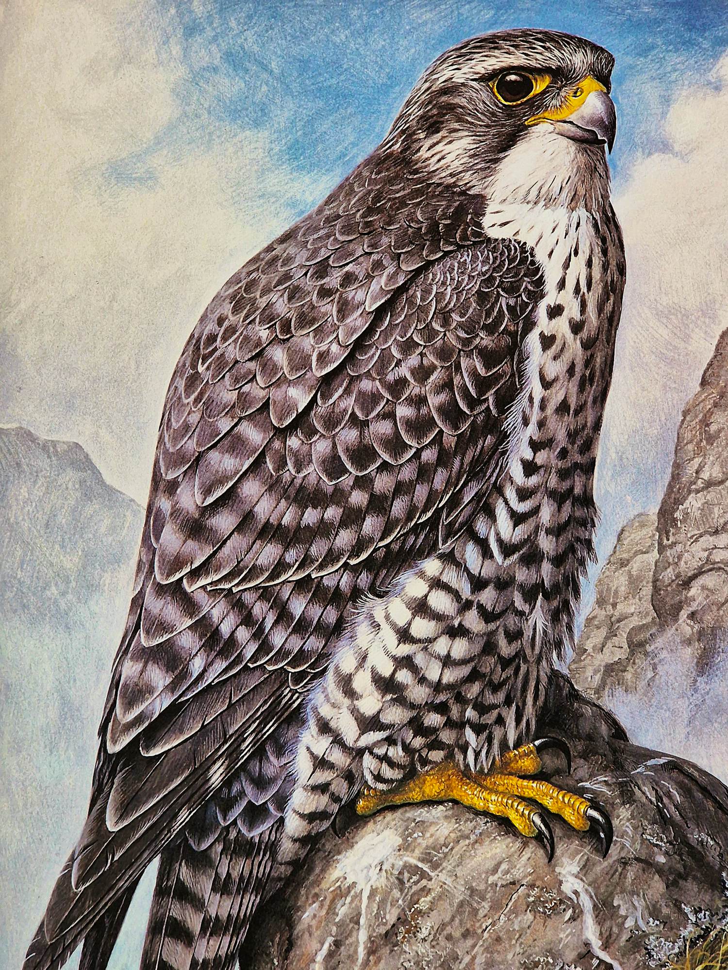 Hendrik Johannes Slijper - Fraaie offset druk "Giervalk" 1987 - oplage 350, handgesigneerd - GROOT! kopen? Bied vanaf 58!