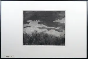 Rutger-Jan Bredewold - Ets, Landschap - Ingelijst kopen? Bied vanaf 1!