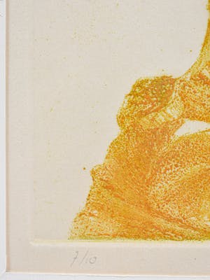 Marijke Fast - Plant V kopen? Bied vanaf 15!