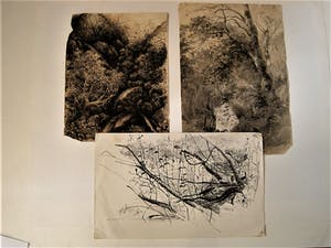 Paul Citroen - 3 vooroorlogse figuratieve Sepia tekeningen (bos)landschappen kopen? Bied vanaf 20!