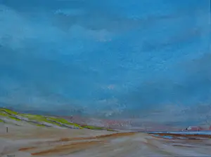 Franklin Meijer - Strand met kokmeeuw kopen? Bied vanaf 45!