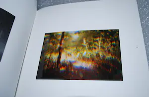 Pieter Bijwaard - Boek, 2x gesigneerd, genumm.336/500-met gouache, foto, 5 drukwerken en 2x CD kopen? Bied vanaf 25!